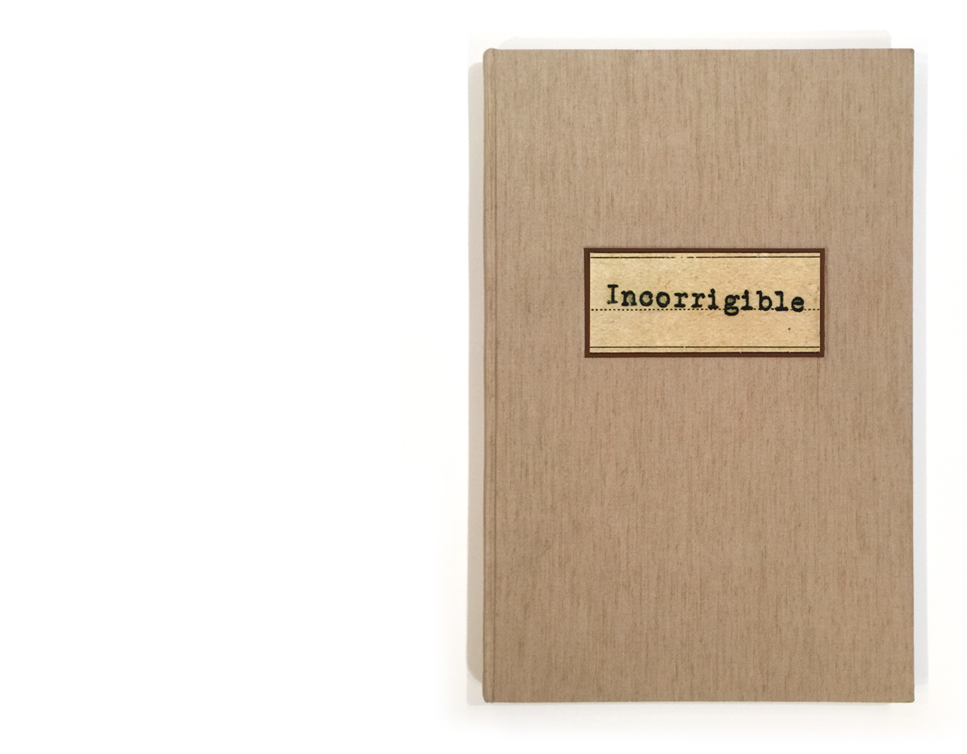 incorrigibles-book-pages