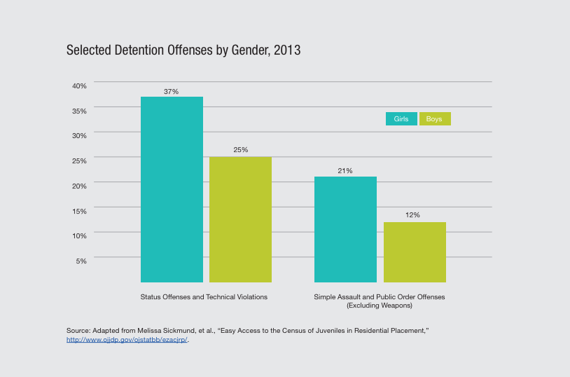 Gender Injustice Report Offenses