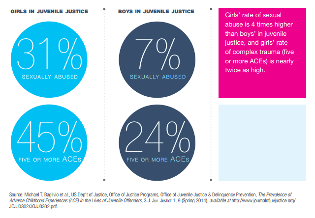 The Sexual Abuse to Prison Pipeline